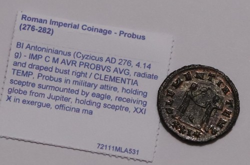 Probus antoninianus - probus,