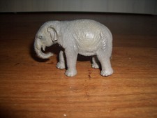 Indischer Elefant Junges
