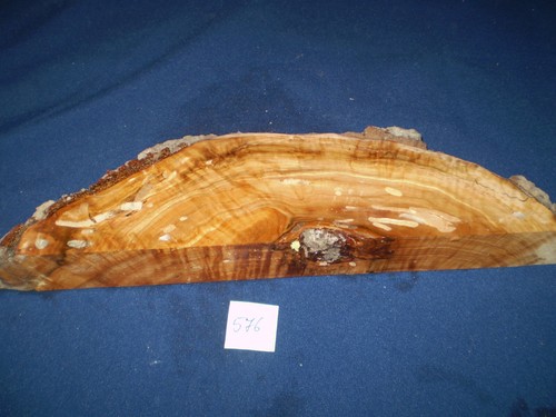 Buche maser drechselholz - buche,