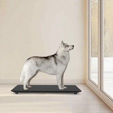 Digitale Haustierwaage