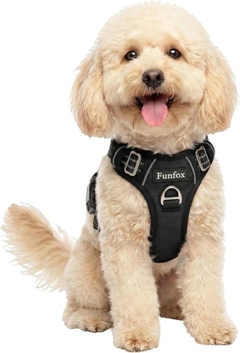 Funfox hundegeschirr kleine - funfox,
