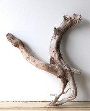 Treibholz Schwemmholz