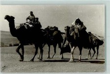 10297140 - Bedouin with Camels