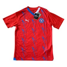 Holstein Kiel Trikot 2023/24
