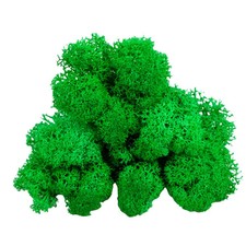 Kunstmoos Wandpflanze Landschaft Dekorative Moos Felsen Rasenelemente