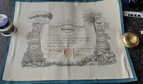 Original hamburgensie 1842 - original,