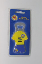 Eintracht Braunschweig Magnet