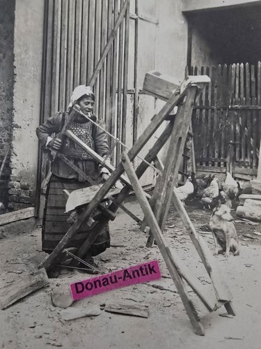 Foto veles velesi - veles,