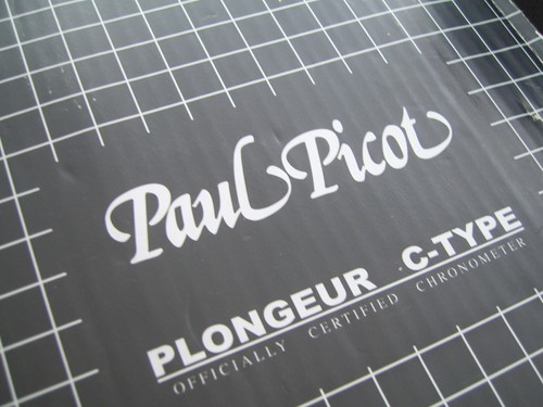 Paul picot plongeur - paul, type