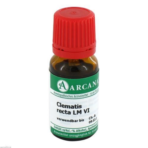 Clematis recta dilution - 6,