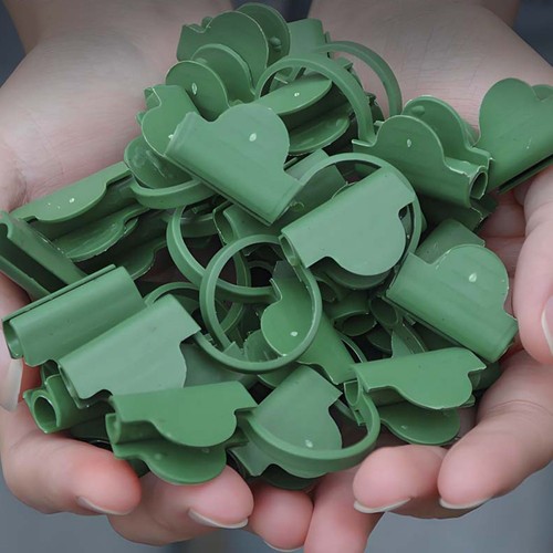 Gew chshaus clips - clips, rutschfest