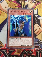 Wächter Tryce lcyw-de134 1