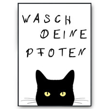 Lustiges Katzen Poster