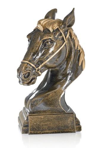 Pferd pferde reiten - pferd, reitsport