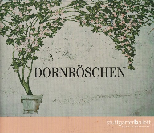 Programmheft dornröschen - programmheft,