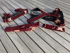 Edel & Schnell Sicherheits -