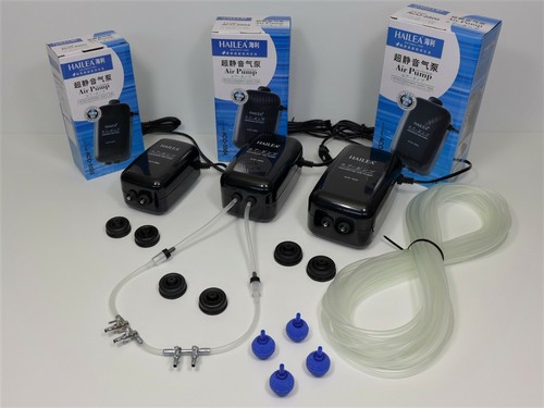 Hailea aco 5503 5504 - -, 5505
