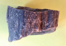 Verkieseltes Holz aus der