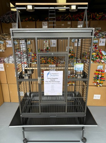Parrot supplies atlanta play - atlanta,