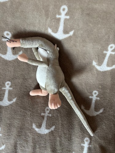 Depesche nasenbär ratte - nasenbär,