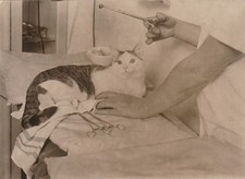 Presse Foto Berlin Tierarzt