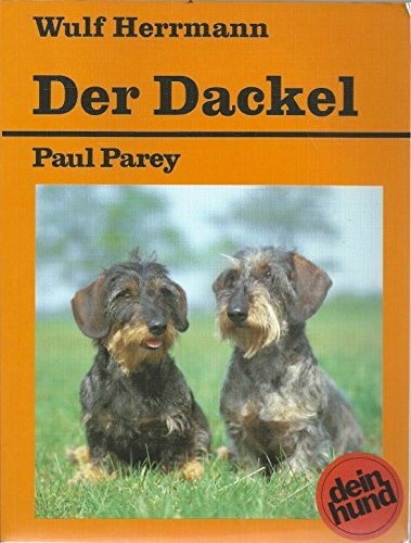 Der dackel kurzhaar - kurzhaar,