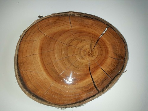 Kirsche holz stamm scheibe - kirsche,