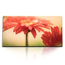 120x80cm kunstdruck bilder - kunstdruck,