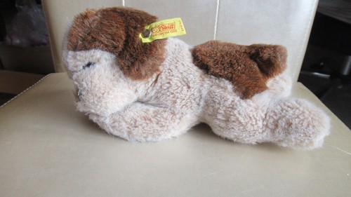 Steiff hund floppy - steiff, cockie