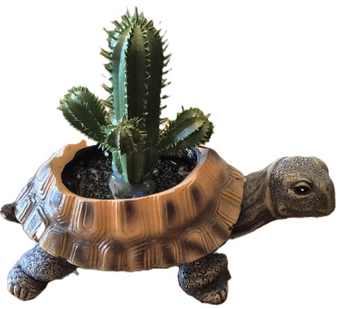 Schildkröte resin mit - resin,
