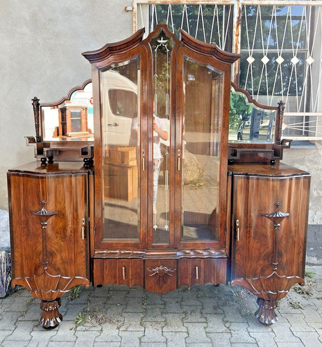 Wunderschöne seltene art - wunderschöne,