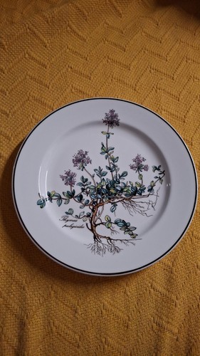 Villeroy boch botanica - &,