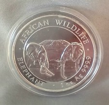 2020 - SOMALIA ELEPHANT  - 1