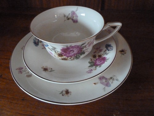 Rosenthal ivory 119 - ivory,