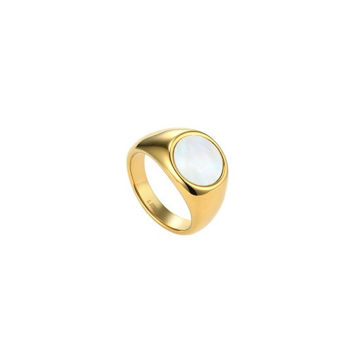 Siegelring perlmutt edelstahl - siegelring,