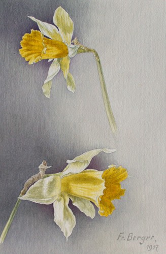 Fritz berger blumenstudie - berger,