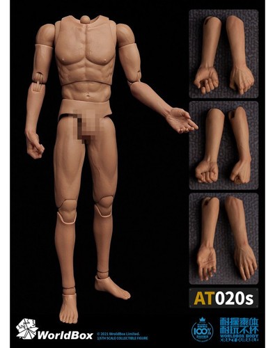 Worldbox male body - worldbox,