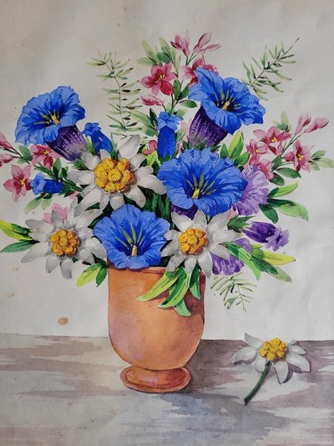 Altes aquarell alpenblumen - aquarell, in