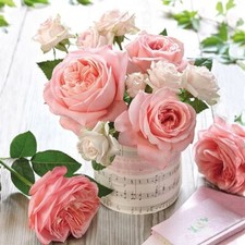 3 lose Servietten ~ Rosen mit Musik Noten Music Roses