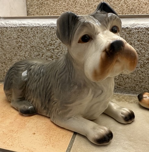 Porzellanhund liegend terrier - porzellanhund,
