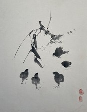 Küken, chinesischer Druck