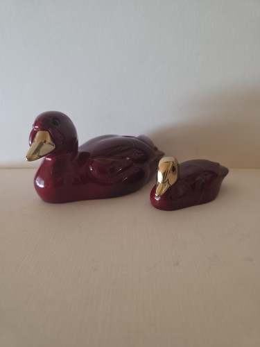 Zwei enten elli malevolti - zwei,