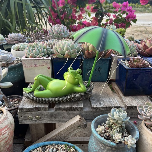 Frosch gartenfiguren mit - frosch,