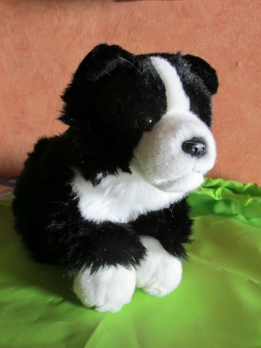 Hund schwarz weiß 31 cm - hund, schwarz/weiß
