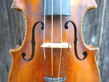 Geige lab. "MARCUS STAINER