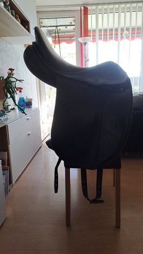 Dressursattel zoll - dressursattel, 17.5