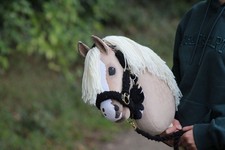 Hobbyhorse Callioperranch