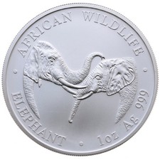 Zambia - African Wildlife