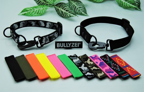 Halsband training nylon 50cm - training,