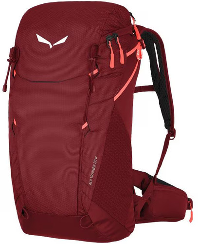 Salewa alp trainer - alp,